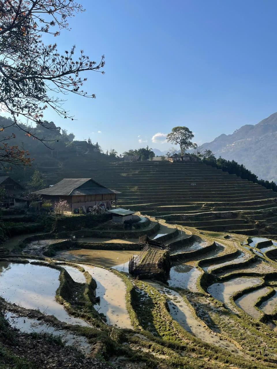 Sapa Eco Hugo Bed and Breakfast Eksteriør billede
